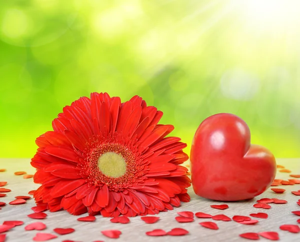 Red heart with gerbera flower on table — Stock Photo, Image