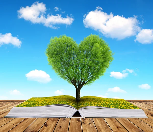 Książka z drzewa w kształcie serca. — Zdjęcie stockowe