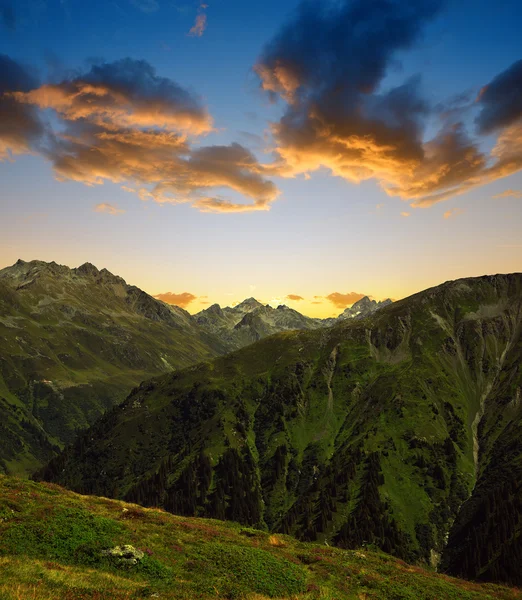 Sommar landskap i Schweiz Alperna — Stockfoto