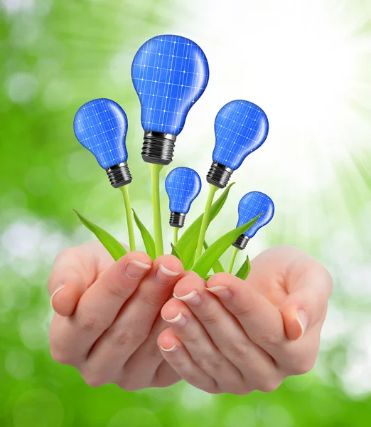 Eco energie žárovky v rukou — Stock fotografie