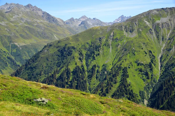 Sommerlandschaft in den Schweizer Alpen — Stockfoto