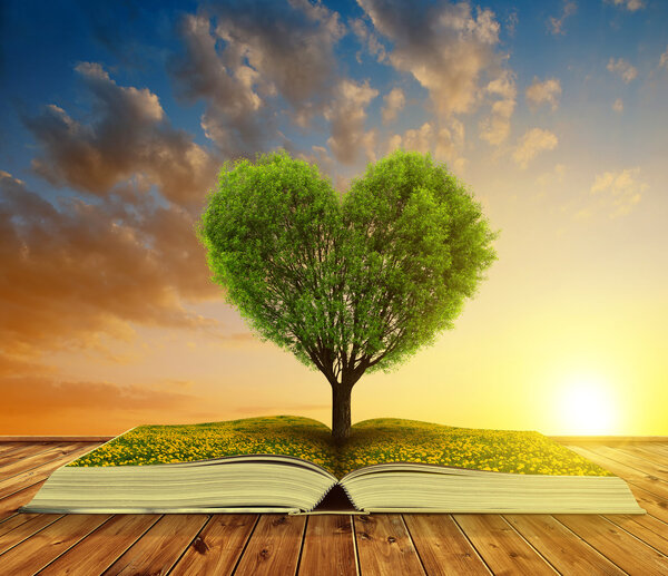 Book with a tree in the shape of heart at sunset.