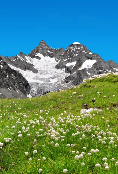 美しい山 Gabelhorn - スイス — ストック写真