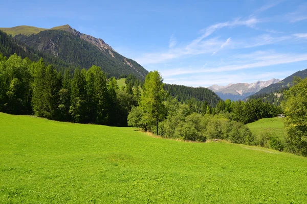 Kanton Graubunden, Zwitserland — Stockfoto