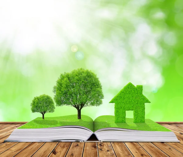 Libro ecologico con alberi e casa — Foto Stock