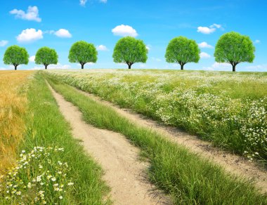 Toprak yol güneşli gün.