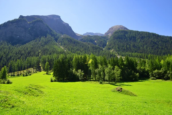 Kanton Graubunden Alpen - Park Ela, Zwitserland. — Stockfoto