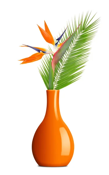 Strelitzia reginae, paradijsvogel bloem met palmtak in vaas — Stockfoto