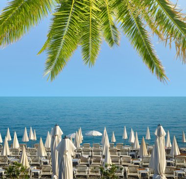 Şezlong ve plaj şemsiyeleri sahilde.