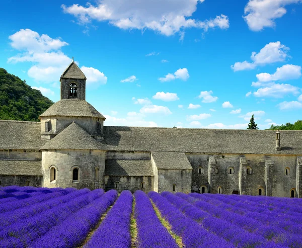 Abbaye de Senanque - Provence, Francie — Stock fotografie