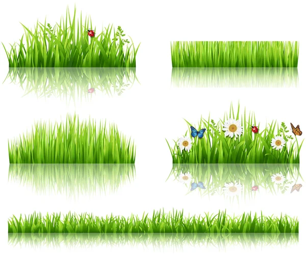 Green grass collection — Stock Vector