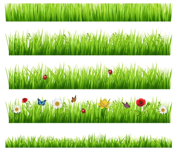 คอลเลกชันหญ้าสีเขียว — ภาพเวกเตอร์สต็อก