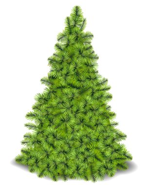 Yeşil Noel ağacı