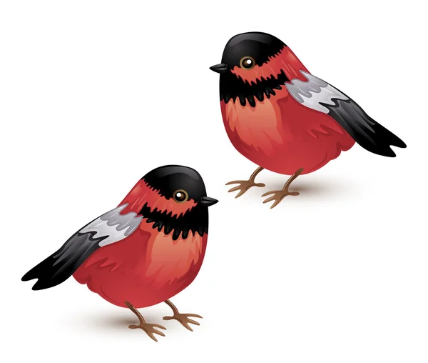 Weihnachtskarte mit Vögeln — Stockvektor