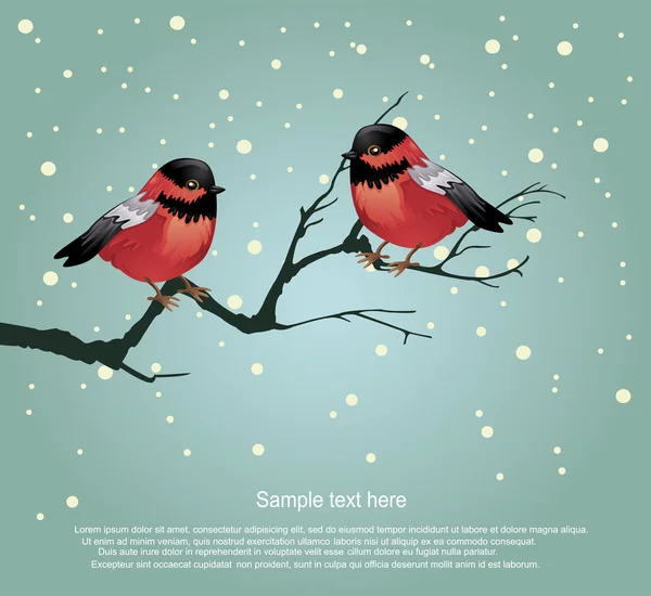 Tarjeta de felicitación de Navidad robins — Vector de stock