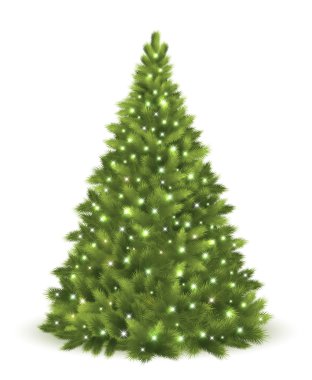 Yeşil Noel ağacı