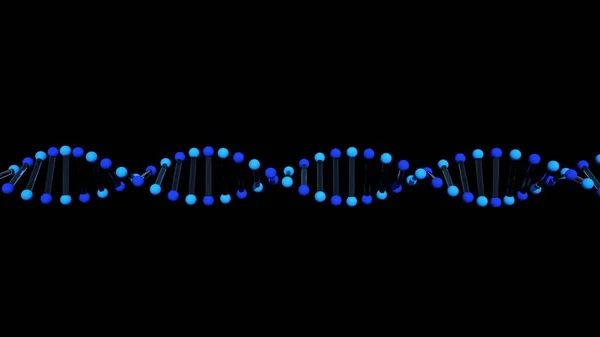 Bir genin 3 boyutlu görüntü hücre yapısı, DNA modeli, siyah arkaplanda izole edilmiş elementler. Hücrelerin ve moleküllerin kimyasal yapısı, atomların bağlantısı