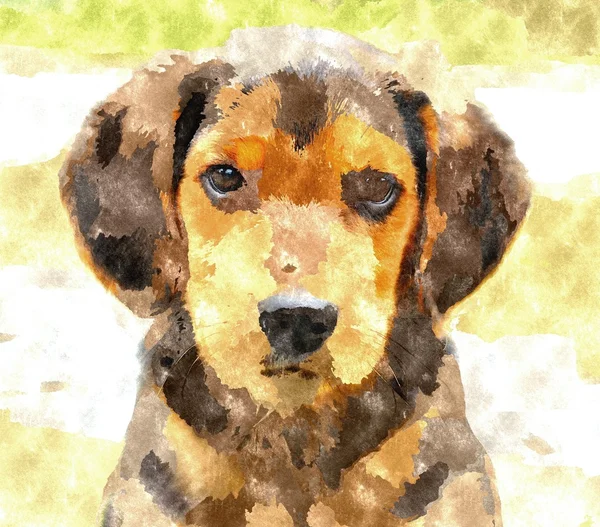 Beagle puppy painting — Stock Photo, Image