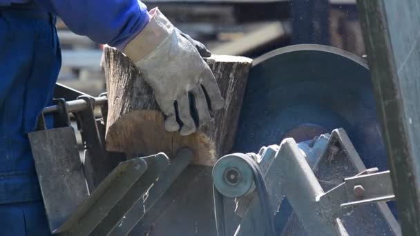 Cutting wood on saw — Stock Video