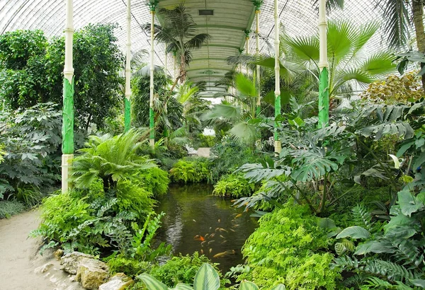 Velkým palmovým skleníkem — Stock fotografie