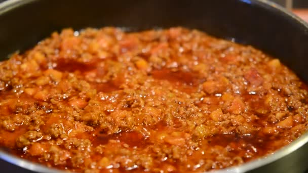 Cooking Bolognese sauce — Stock Video