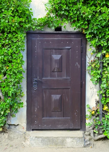 जुन्या लाकडी दरवाजा — स्टॉक फोटो, इमेज
