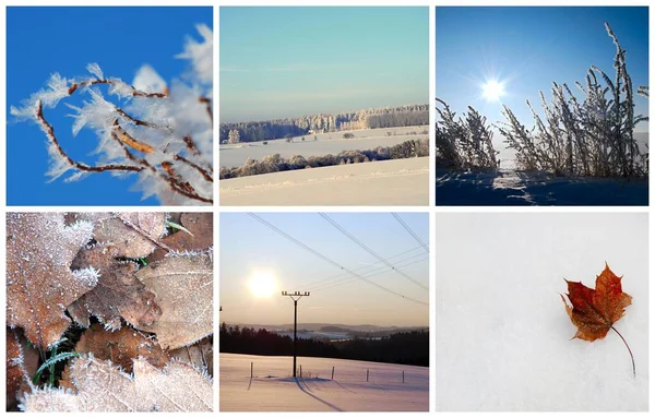 Fotografia Kolaż Zawiera Krajobrazy Sezonu Zimowego — Zdjęcie stockowe