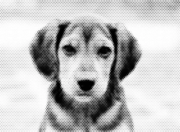 Retrato Lindo Perro Blanco Negro Medio Tono Ilustración Abstracta — Foto de Stock