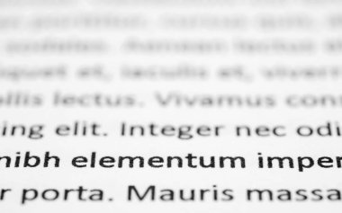 Beyaz kağıt üzerinde önplan sözcüklerine odaklanmış lorem ipsum metninin kapatılması.