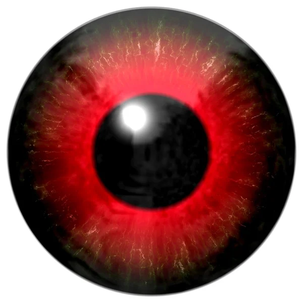 Kırmızı göz — Stok fotoğraf