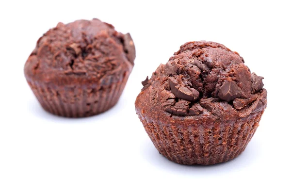 Chocolate muffins — Stock Photo, Image