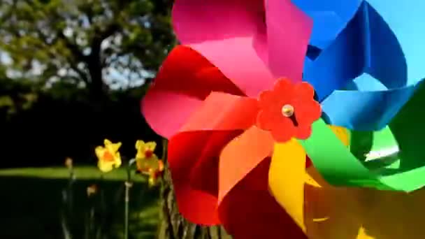 Colordul pinwheel jardín — Vídeo de stock