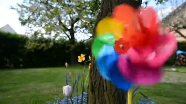 Colordul pinwheel jardín — Vídeo de stock