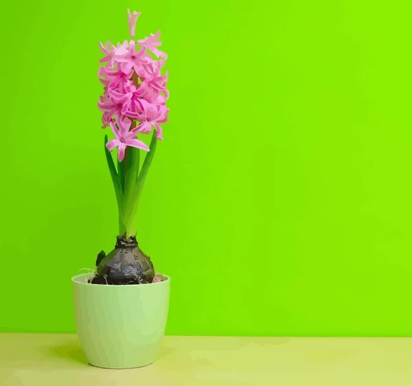 Růžový Hyacint — Stockový vektor