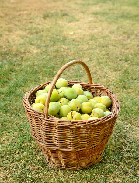 Korb mit Pflaumen — Stockfoto