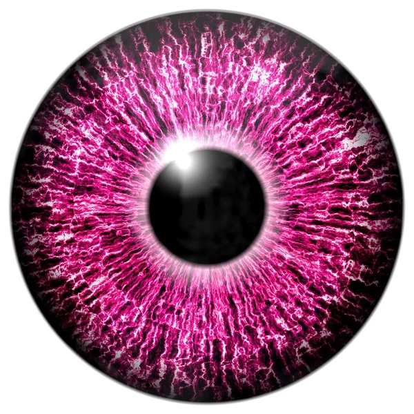 Μωβ μάτι — Διανυσματικό Αρχείο