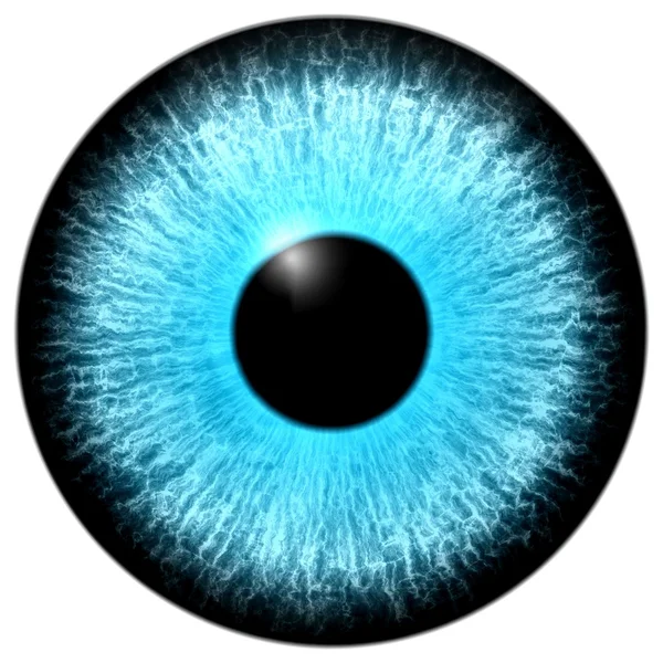Μπλε μάτι — Διανυσματικό Αρχείο
