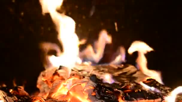 Şöminede Ateş — Stok video