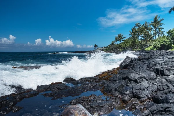 COAST OF HAWAI — Stock Photo, Image