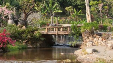 Nehir akar orman yoluyla