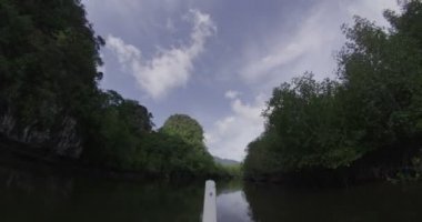 Langkawi Mangro tekne yolculuğu