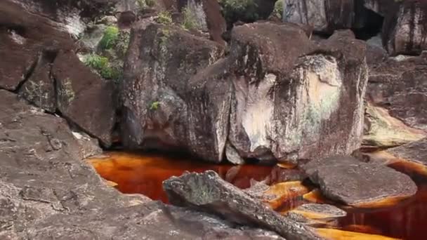 Flug über Dschungel, mit Wasserfall — Stockvideo