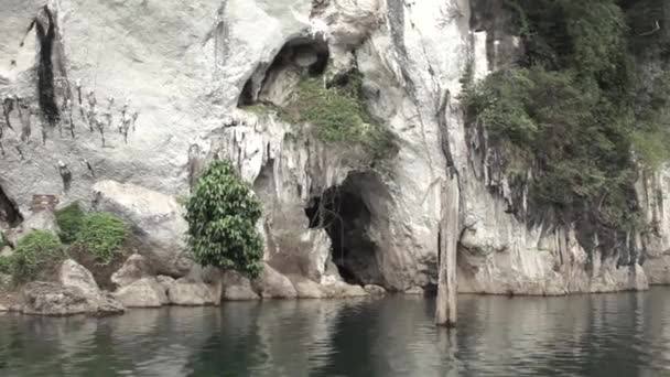 Taman Nasional Khao Sok — Stok Video