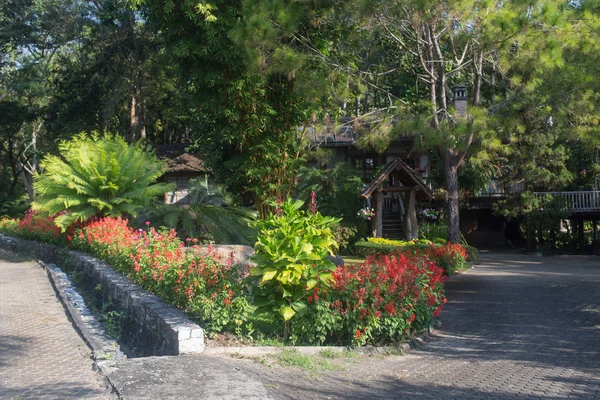 Jardín tailandés con plantas y árboles —  Fotos de Stock