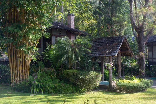 Тайский сад с растениями и деревьями — стоковое фото