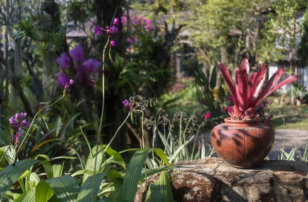 Çiçekler ve ağaçlar ile Tay Bahçe