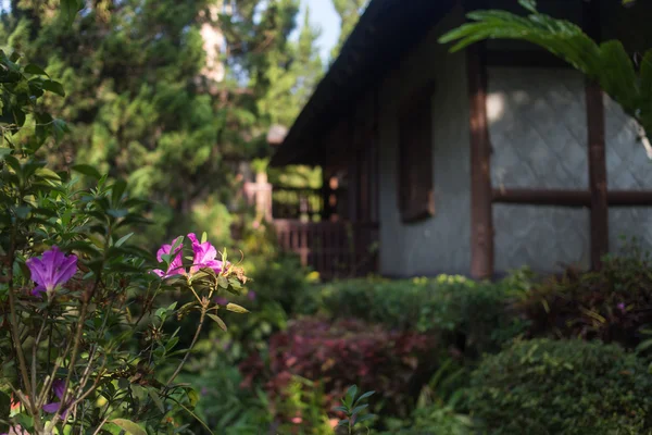 Çiçekler ve ağaçlar ile Tay Bahçe