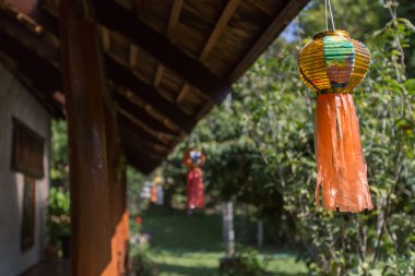 Tay bahçe bitkiler ve ağaçlar