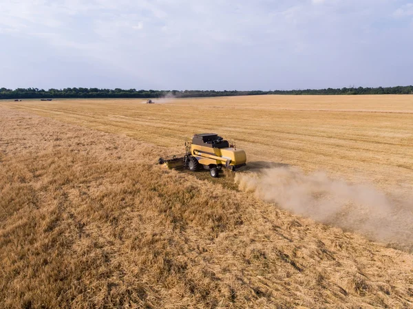 Biçerdöver buğday alanında hava atış