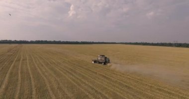 Biçerdöver buğday alanında